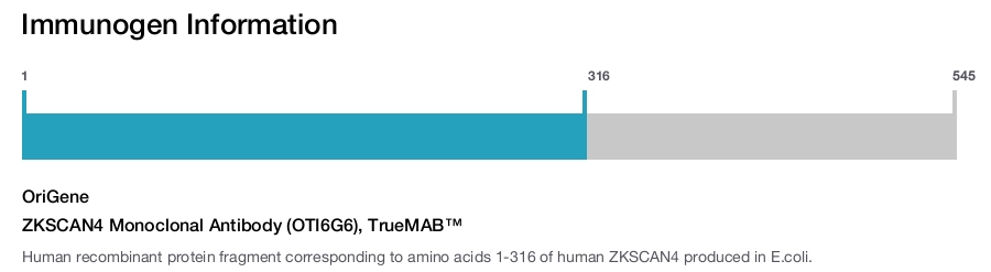 ZKSCAN4 Monoclonal Antibody (OTI6G6), TrueMAB&trade;