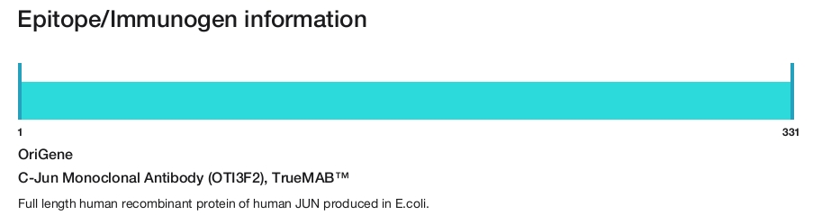 C-Jun Monoclonal Antibody (OTI3F2), TrueMAB&trade;