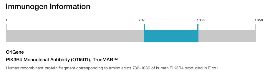 PIK3R4 Monoclonal Antibody (OTI5D1), TrueMAB&trade;