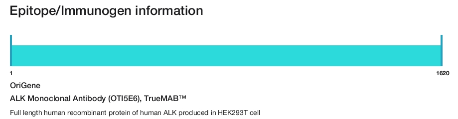 ALK Monoclonal Antibody (OTI5E6), TrueMAB&trade;