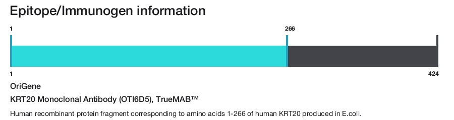 KRT20 Monoclonal Antibody (OTI6D5), TrueMAB&trade;