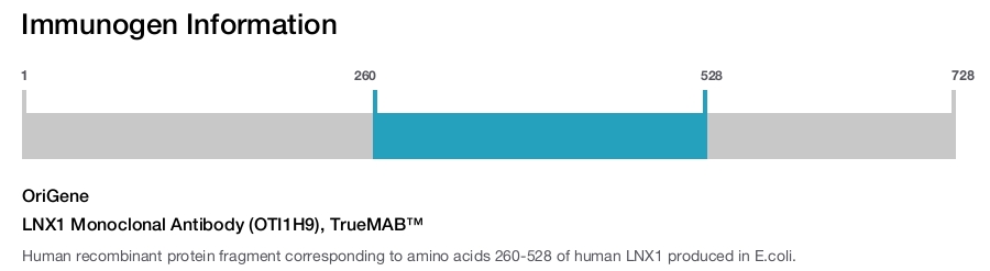 LNX1 Monoclonal Antibody (OTI1H9), TrueMAB&trade;