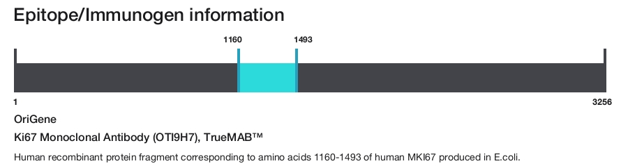 Ki67 Monoclonal Antibody (OTI9H7), TrueMAB&trade;