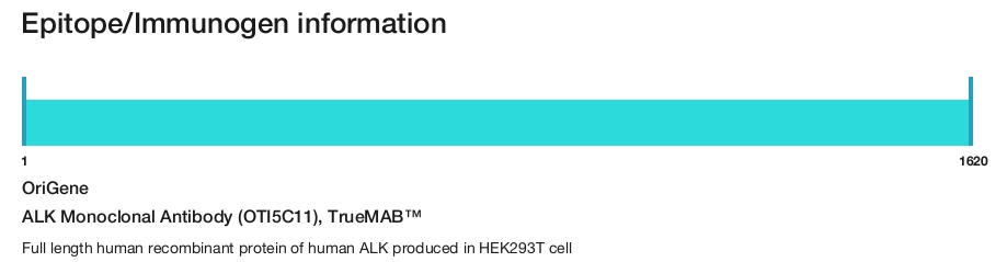 ALK Monoclonal Antibody (OTI5C11), TrueMAB&trade;