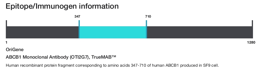 ABCB1 Monoclonal Antibody (OTI2G7), TrueMAB&trade;