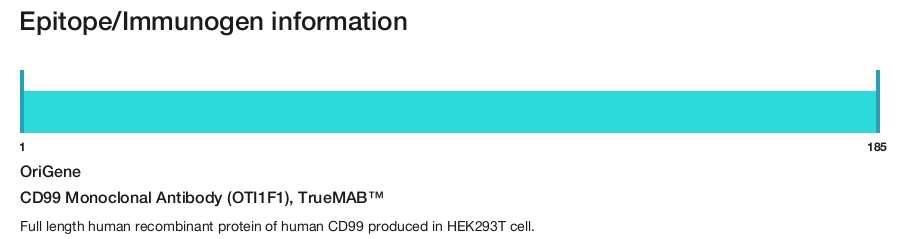 CD99 Monoclonal Antibody (OTI1F1), TrueMAB&trade;