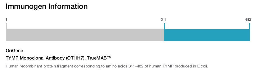 TYMP Monoclonal Antibody (OTI1H7), TrueMAB&trade;