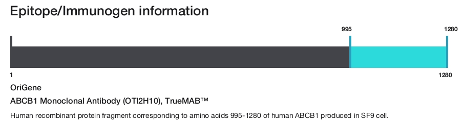 ABCB1 Monoclonal Antibody (OTI2H10), TrueMAB&trade;