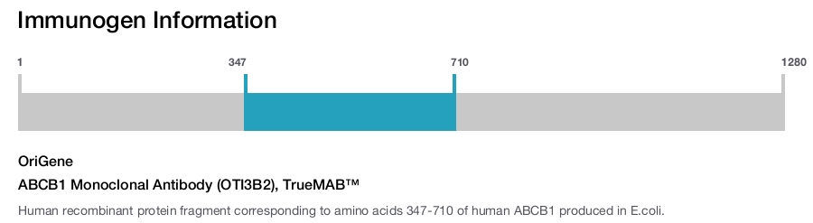 ABCB1 Monoclonal Antibody (OTI3B2), TrueMAB&trade;