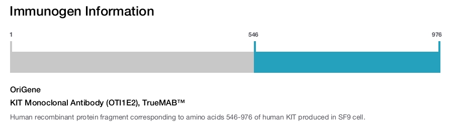 KIT Monoclonal Antibody (OTI1E2), TrueMAB&trade;