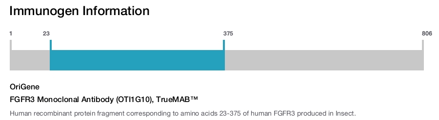 FGFR3 Monoclonal Antibody (OTI1G10), TrueMAB&trade;