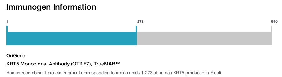 KRT5 Monoclonal Antibody (OTI1E7), TrueMAB&trade;