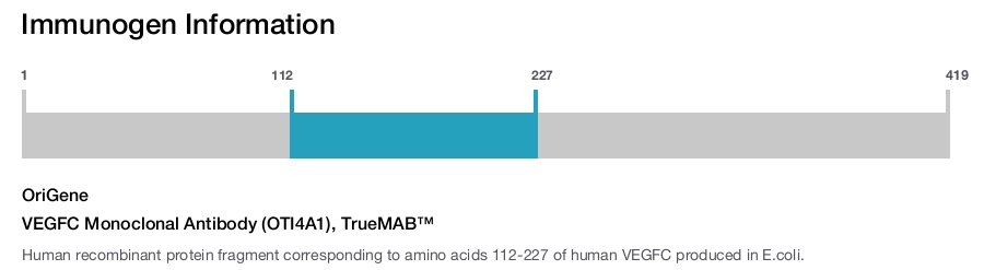 VEGFC Monoclonal Antibody (OTI4A1), TrueMAB&trade;