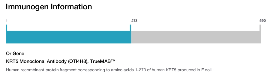 KRT5 Monoclonal Antibody (OTI4H8), TrueMAB&trade;