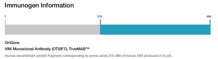 VIM Monoclonal Antibody (OTI2F7), TrueMAB&trade;