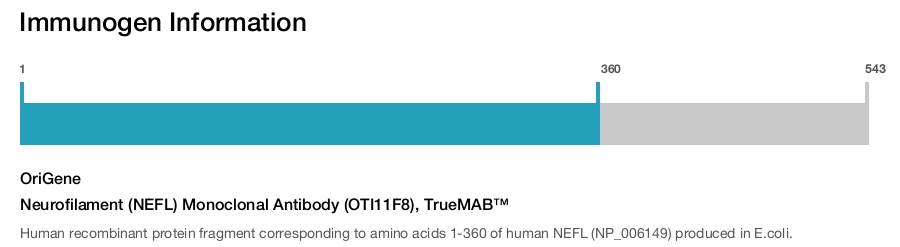 Neurofilament (NEFL) Monoclonal Antibody (OTI11F8), TrueMAB&trade;