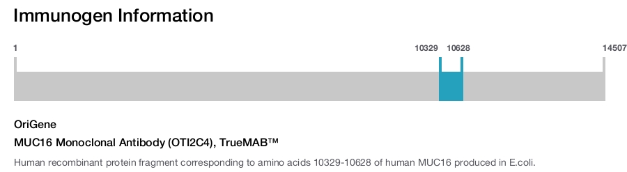 MUC16 Monoclonal Antibody (OTI2C4), TrueMAB&trade;