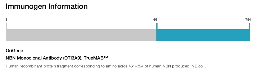 NBN Monoclonal Antibody (OTI3A9), TrueMAB&trade;