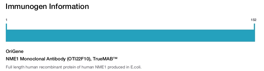 NME1 Monoclonal Antibody (OTI22F10), TrueMAB&trade;