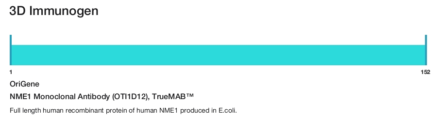 NME1 Monoclonal Antibody (OTI1D12), TrueMAB&trade;
