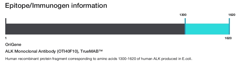ALK Monoclonal Antibody (OTI40F10), TrueMAB&trade;