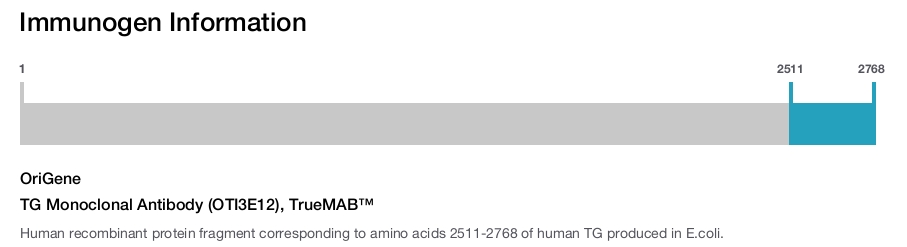 TG Monoclonal Antibody (OTI3E12), TrueMAB&trade;