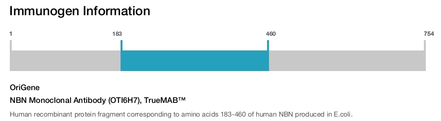 NBN Monoclonal Antibody (OTI6H7), TrueMAB&trade;
