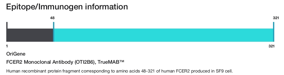 FCER2 Monoclonal Antibody (OTI2B6), TrueMAB&trade;