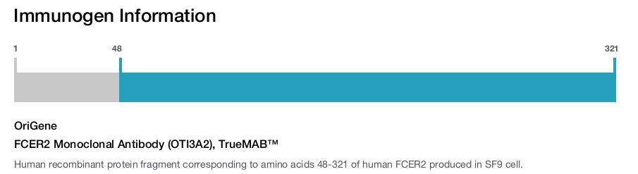 FCER2 Monoclonal Antibody (OTI3A2), TrueMAB&trade;
