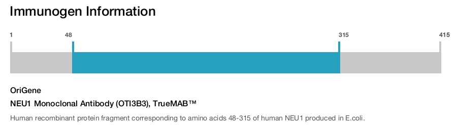 NEU1 Monoclonal Antibody (OTI3B3), TrueMAB&trade;