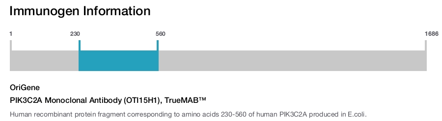 PIK3C2A Monoclonal Antibody (OTI15H1), TrueMAB&trade;