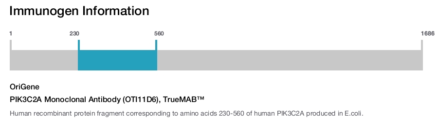PIK3C2A Monoclonal Antibody (OTI11D6), TrueMAB&trade;