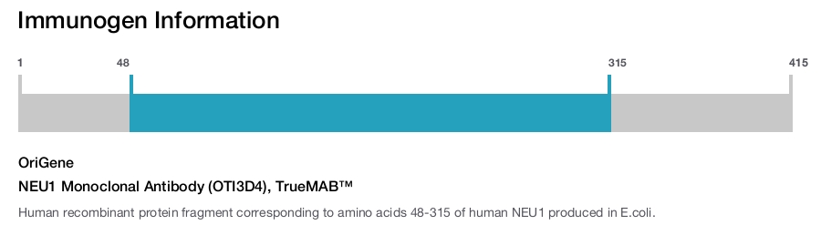 NEU1 Monoclonal Antibody (OTI3D4), TrueMAB&trade;