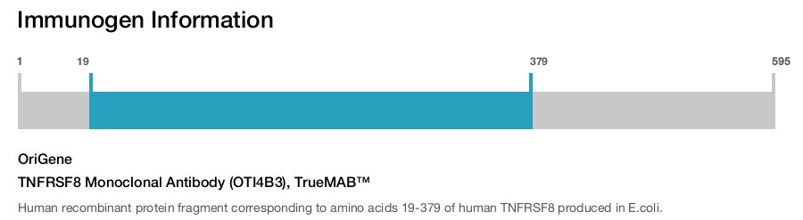 TNFRSF8 Monoclonal Antibody (OTI4B3), TrueMAB&trade;