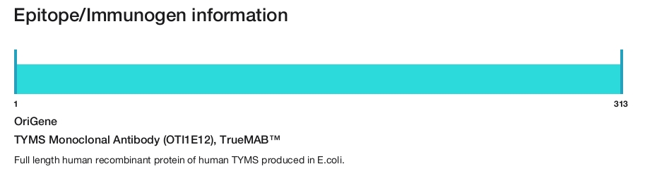 TYMS Monoclonal Antibody (OTI1E12), TrueMAB&trade;