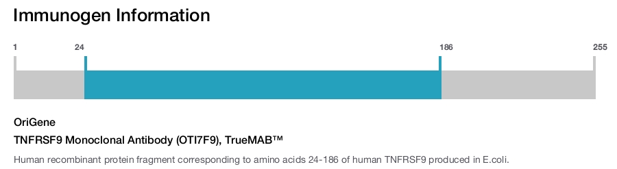 TNFRSF9 Monoclonal Antibody (OTI7F9), TrueMAB&trade;