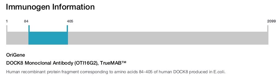 DOCK8 Monoclonal Antibody (OTI16G2), TrueMAB&trade;