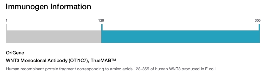 WNT3 Monoclonal Antibody (OTI1C7), TrueMAB&trade;