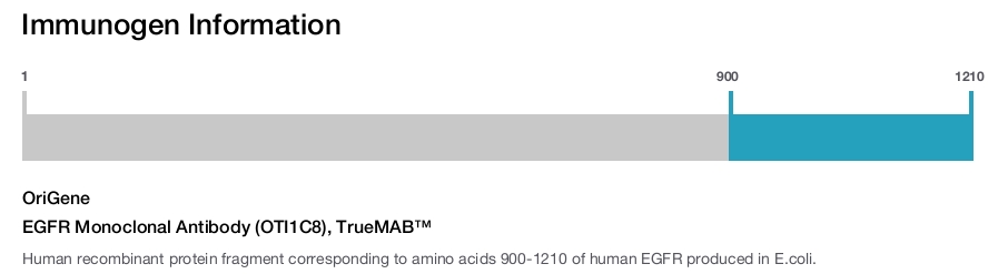 EGFR Monoclonal Antibody (OTI1C8), TrueMAB™