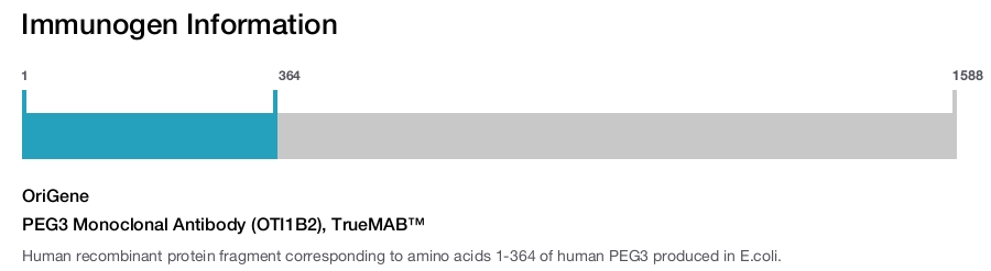 PEG3 Monoclonal Antibody (OTI1B2), TrueMAB&trade;
