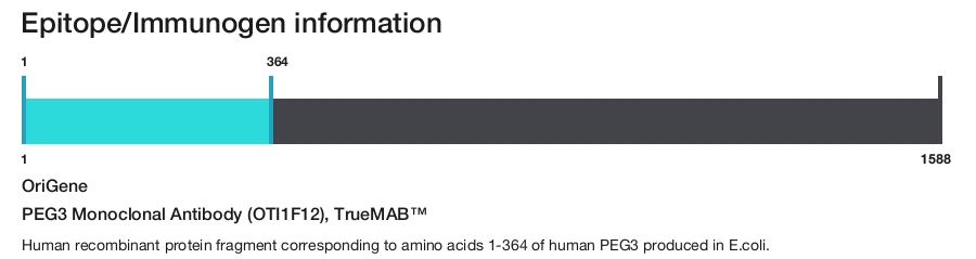 PEG3 Monoclonal Antibody (OTI1F12), TrueMAB&trade;