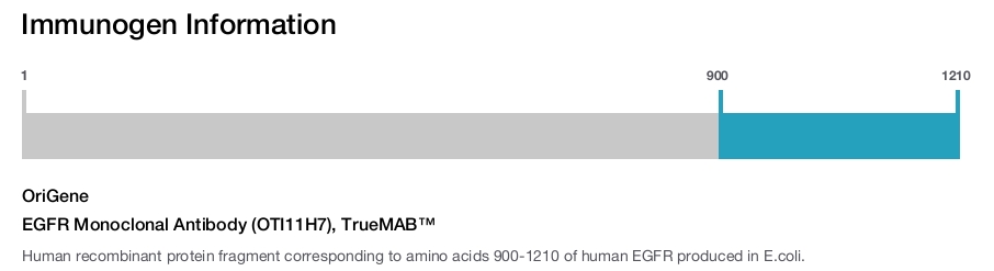 EGFR Monoclonal Antibody (OTI11H7), TrueMAB™