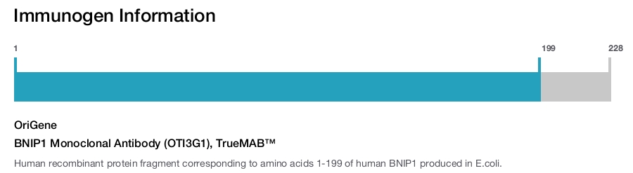 BNIP1 Monoclonal Antibody (OTI3G1), TrueMAB&trade;