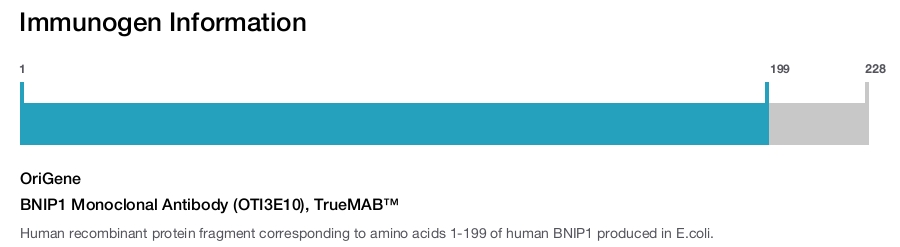 BNIP1 Monoclonal Antibody (OTI3E10), TrueMAB&trade;