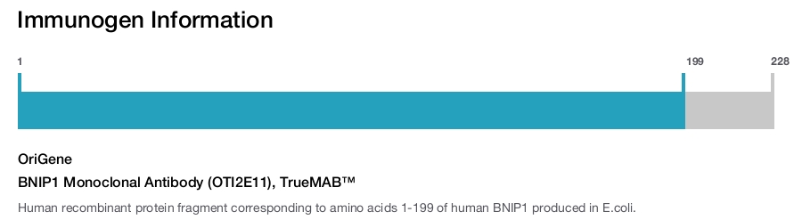 BNIP1 Monoclonal Antibody (OTI2E11), TrueMAB&trade;