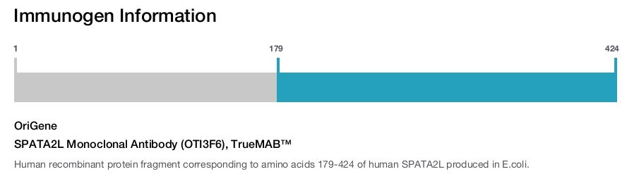 SPATA2L Monoclonal Antibody (OTI3F6), TrueMAB&trade;