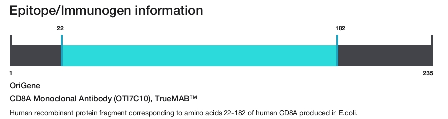 CD8A Monoclonal Antibody (OTI7C10), TrueMAB&trade;