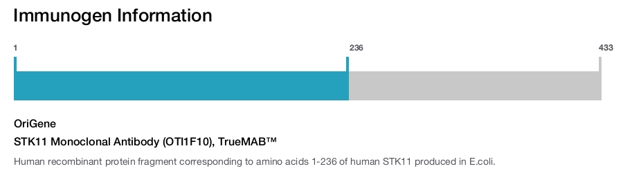 STK11 Monoclonal Antibody (OTI1F10), TrueMAB&trade;