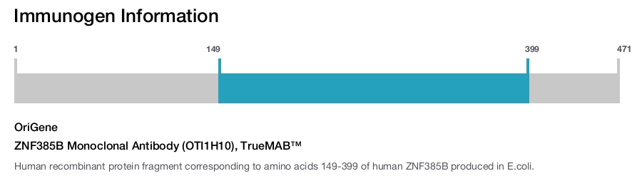 ZNF385B Monoclonal Antibody (OTI1H10), TrueMAB&trade;