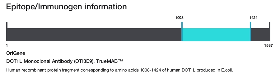 DOT1L Monoclonal Antibody (OTI3E9), TrueMAB&trade;